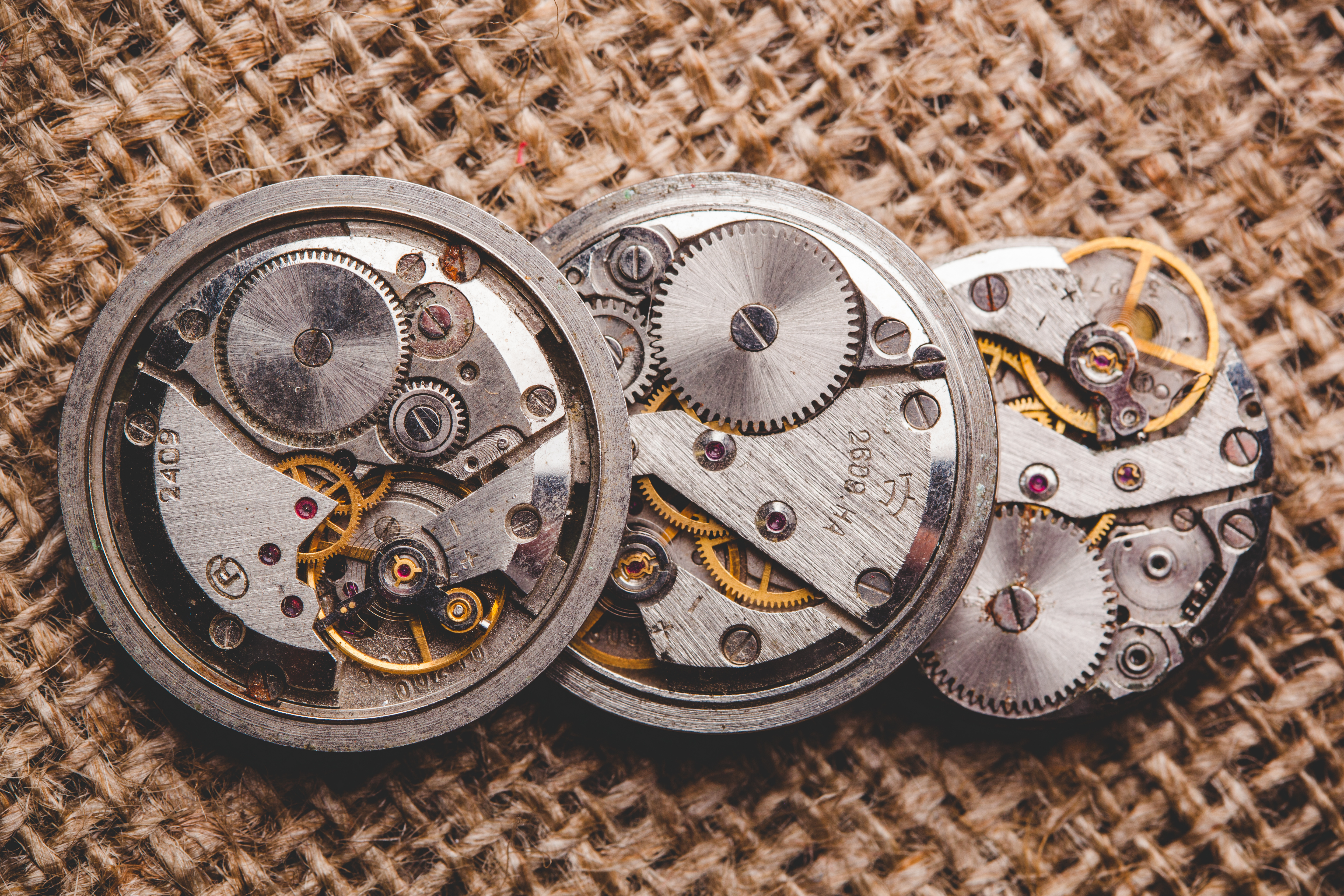 Are Tudor Watches a Good Investment?